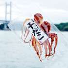 大変お待たせ致しました。あの「干だこ（ひだこ）」が入荷しました。